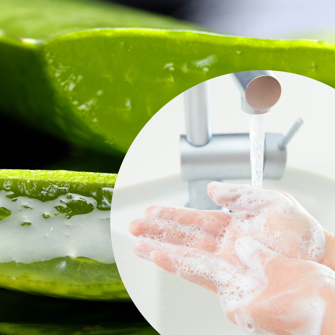 Natural Aloe Vera and Calendula Oil Soap, Natural Soap, Handmade Soap, Handmade Soap, Soap with calendula oil